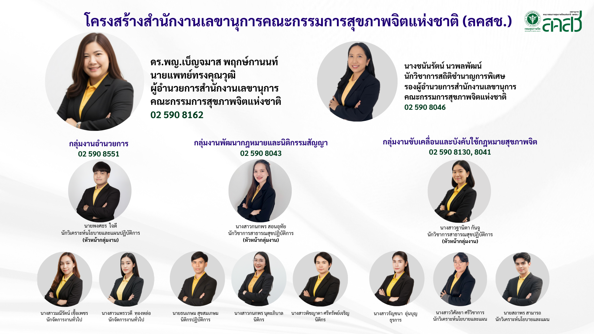 โครงสร้างสำนักงานเลขานุการคณะกรรมการสุขภาพจิตแห่งชาติ